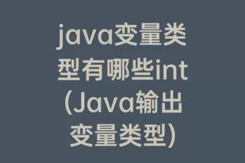 java变量类型有哪些int(Java输出变量类型)