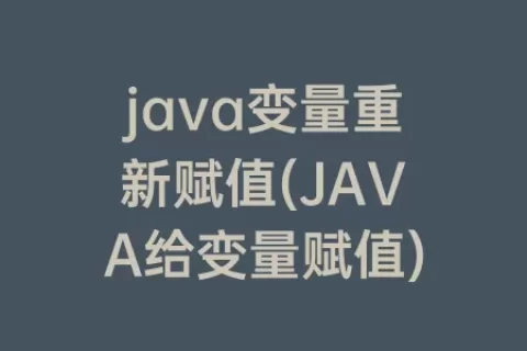 java变量重新赋值(JAVA给变量赋值)