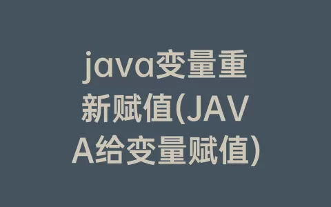 java变量重新赋值(JAVA给变量赋值)