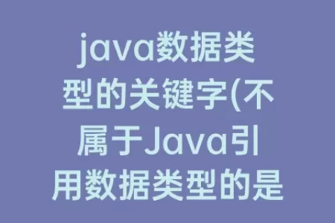 java数据类型的关键字(不属于Java引用数据类型的是)