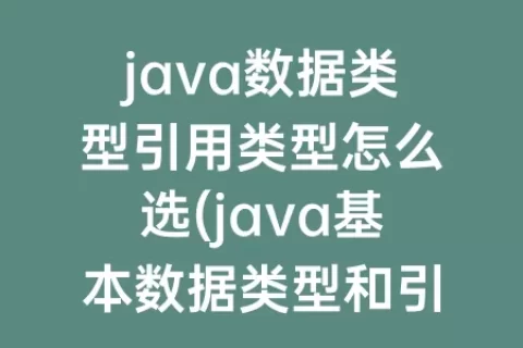 java数据类型引用类型怎么选(java基本数据类型和引用类型)