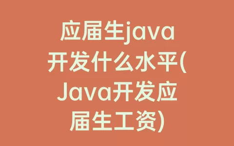 应届生java开发什么水平(Java开发应届生工资)