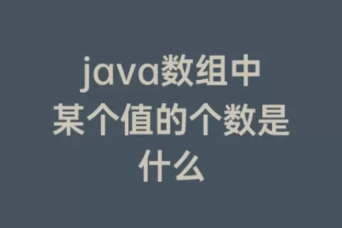 java数组中某个值的个数是什么