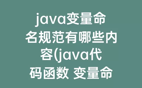 java变量命名规范有哪些内容(java代码函数 变量命名规范)