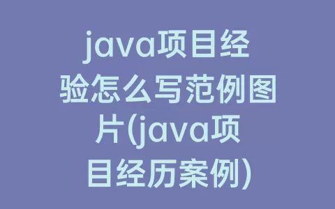 java项目经验怎么写范例图片(java项目经历案例)