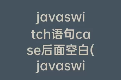 javaswitch语句case后面空白(javaswitch case语句例子)