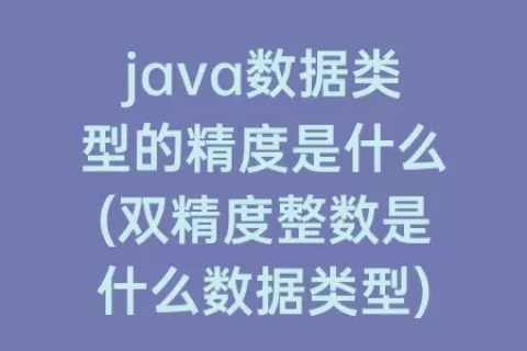java数据类型的精度是什么(双精度整数是什么数据类型)