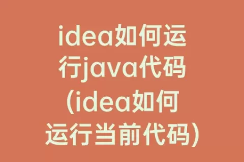 idea如何运行java代码(idea如何运行当前代码)