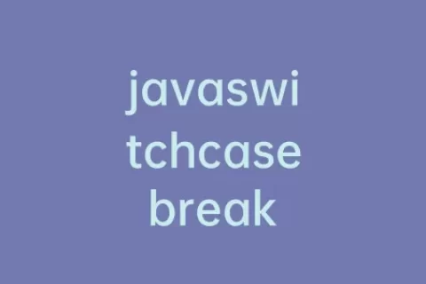 javaswitchcasebreak