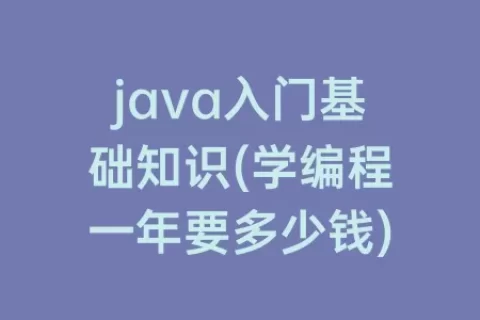 java入门基础知识(学编程一年要多少钱)