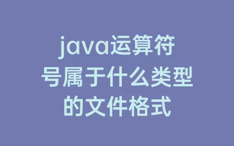 java运算符号属于什么类型的文件格式
