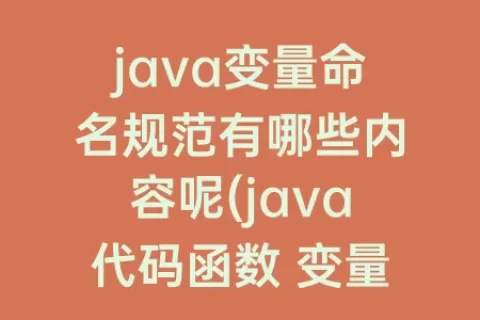 java变量命名规范有哪些内容呢(java代码函数 变量命名规范)