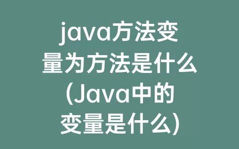 java方法变量为方法是什么(Java中的变量是什么)