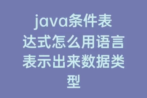 java条件表达式怎么用语言表示出来数据类型