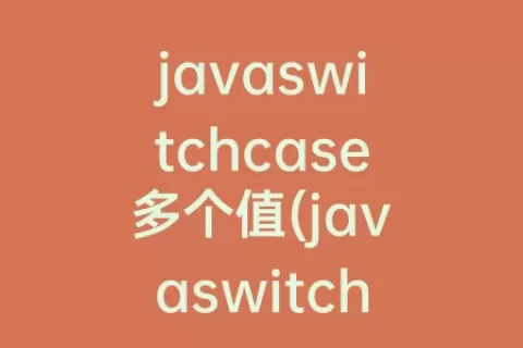 javaswitchcase多个值(javaswitchcase用法)