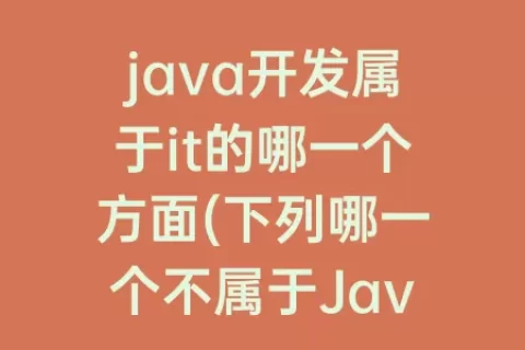 java开发属于it的哪一个方面(下列哪一个不属于Java的基本类型)