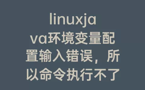 linuxjava环境变量配置输入错误，所以命令执行不了