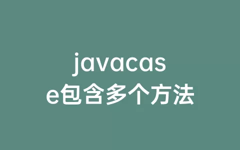 javacase包含多个方法
