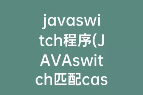 javaswitch程序(JAVAswitch匹配case)