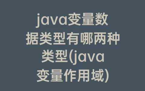java变量数据类型有哪两种类型(java变量作用域)