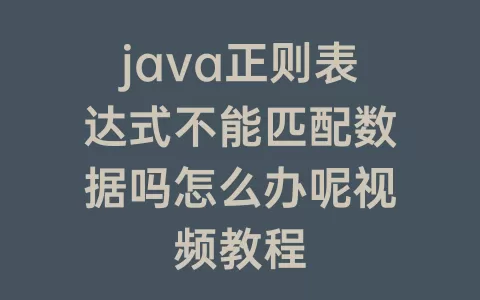 java正则表达式不能匹配数据吗怎么办呢视频教程