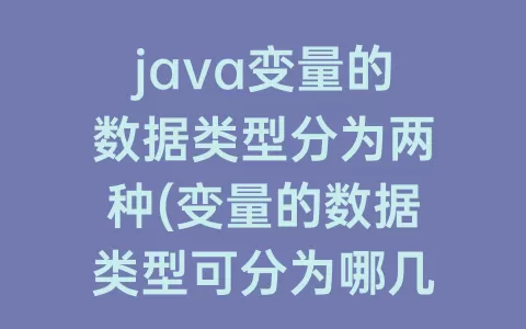 java变量的数据类型分为两种(变量的数据类型可分为哪几类)