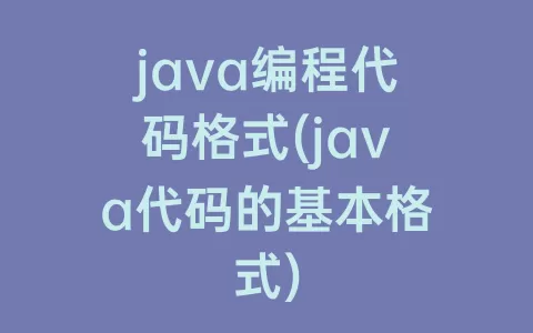 java编程代码格式(java代码的基本格式)