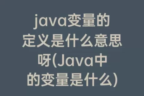 java变量的定义是什么意思呀(Java中的变量是什么)