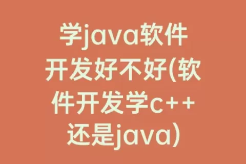 学java软件开发好不好(软件开发学c++还是java)
