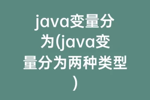 java变量分为(java变量分为两种类型)