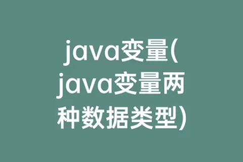 java变量(java变量两种数据类型)