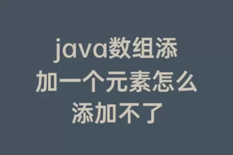 java数组添加一个元素怎么添加不了