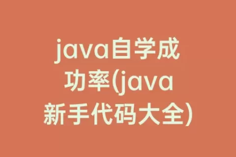 java自学成功率(java新手代码大全)