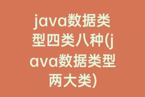 java数据类型四类八种(java数据类型两大类)