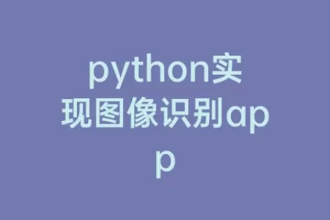 python实现图像识别app