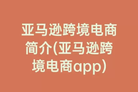 亚马逊跨境电商简介(亚马逊跨境电商app)